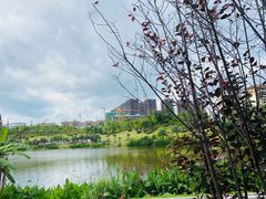 -枫香湖儿童公园