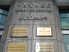 -申普宠物医院·心脏介入·心血管微创(总院)