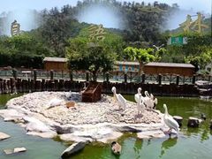 -大连老虎滩海洋公园