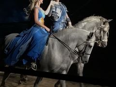 -环球城国际大马戏