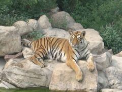 -石家庄市动物园