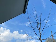 -COFFEE CALL(云锦路店)