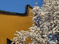 -龙华寺