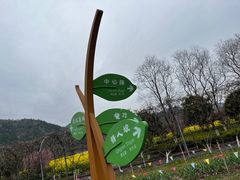 -径山花海