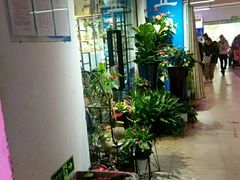 -金旭菜市场