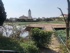 -日照海滨国家森林公园