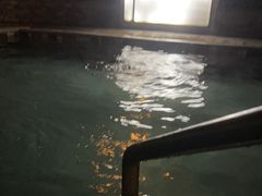 -碧水湾温泉