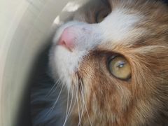 -宠爱国际动物医院·消化内科·心肾内科·ISFM猫友好(望京店)