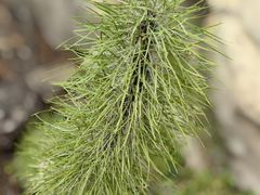 -北京植物园-展览温室