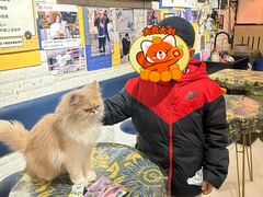 -平行世界·猫咖(首经贸店)