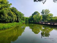 -梁鸿国家湿地公园