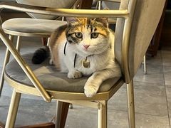 -后海16号·北京私房菜