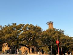 -江心屿景区