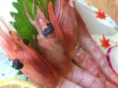 -琴寿司居酒屋(软件园店)