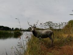 -溱湖国家湿地公园