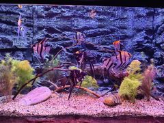 -上海海洋水族馆