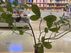 -代数学家algebraist(诚品店)