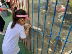 -萌宠亲子动物乐园(槐房万达店)