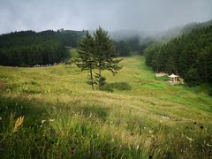 -驼梁风景区