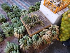 -半坡九号老挝冰咖啡