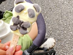 -杭州野生动物世界
