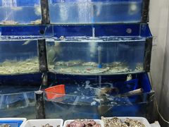 -渔家小院观海海肠捞饭地方菜(环海中路店)