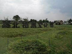 -嘉北郊野公园