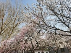 -吉林大学(南岭校区)