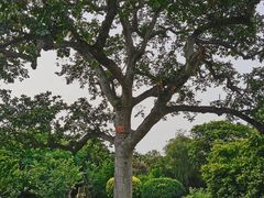 -福建鲤鱼洲酒店