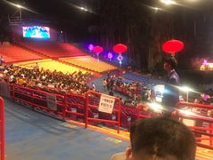 -广州长隆国际大马戏