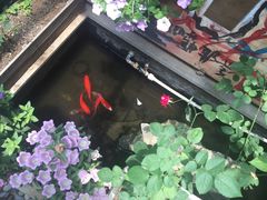 -边渡咖啡烘焙店(昙华林店)