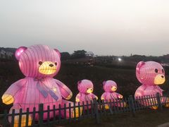 -大塘金香草谷