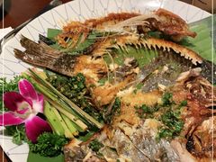 -紫滇源云南生态菜(丹凤街店)