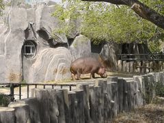 -新疆天山野生动物园
