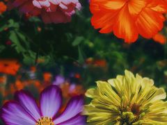 -贵阳市花溪国家城市湿地公园
