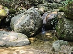 -王顺山国家森林公园