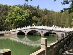 -武汉园博园(武汉自然博物馆)