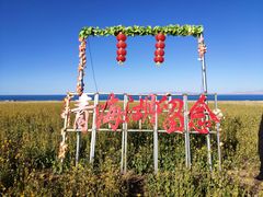 -青海湖国家重点风景名胜区