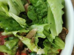 金枪鱼竹笋鸡蛋沙拉-Green Option(官舍店)