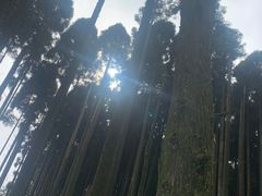 -明月山天沐温泉度假村