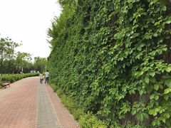 -北京张裕爱斐堡酒庄