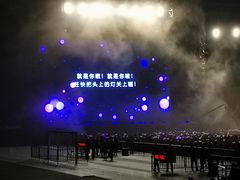 -南京奥林匹克体育中心-体育馆