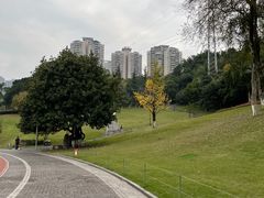-龙头寺公园