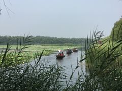 -白洋淀景区