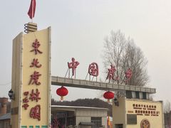 门头-横道河子东北虎林园