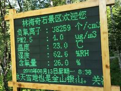 -汤旺河林海奇石景区