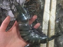 -金巴兰鱼市场
