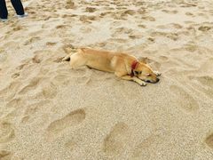 -白沙湾海滩