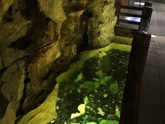-御池园(顾村公园店)