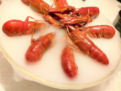 -红盔甲·小龙虾(天钥桥店)